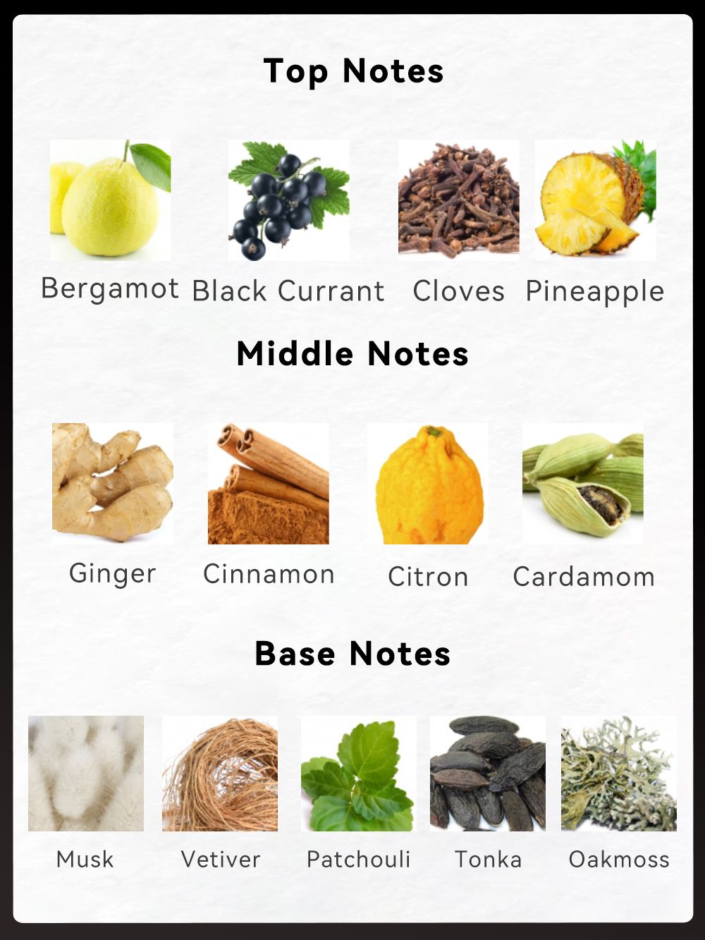 Trending Wellness Store