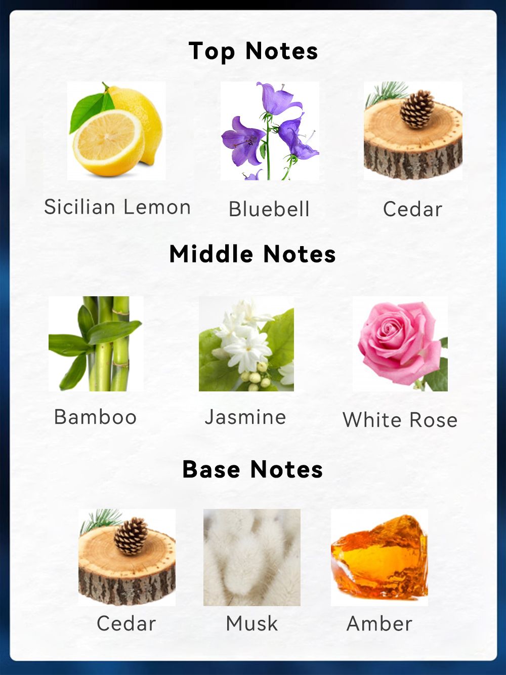 Trending Wellness Store