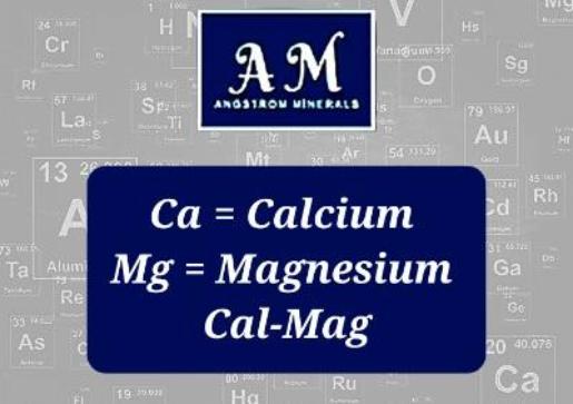 32 oz Angstrom Cal-Mag Supplement by Angstrom Minerals - Trending Wellness Store