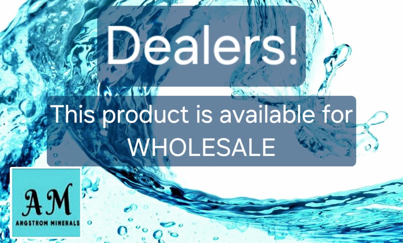 Trending Wellness Store