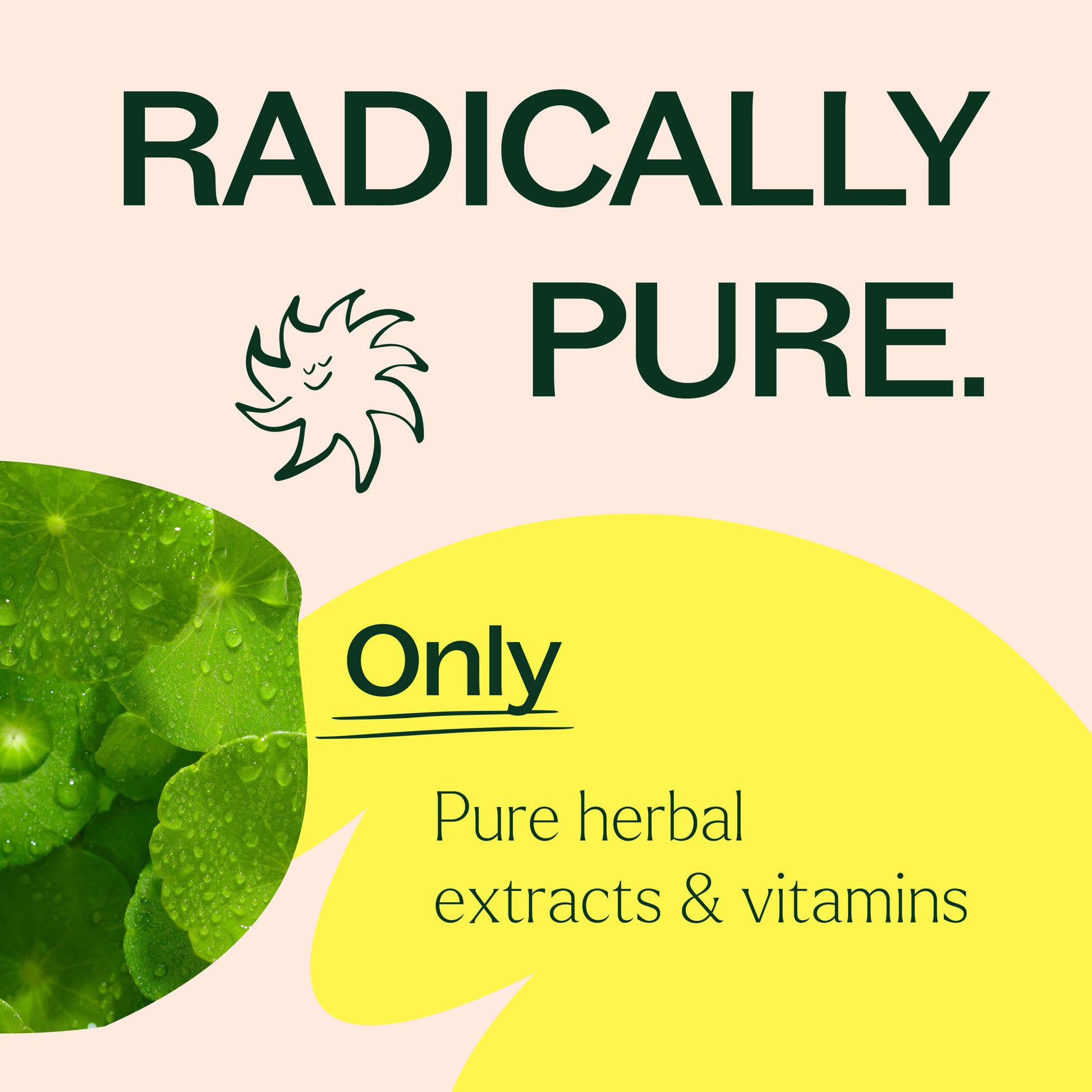 3-in-1 Hair, Skin & Nails Herbal Supplement - 120 Capsules - Trending Wellness Store