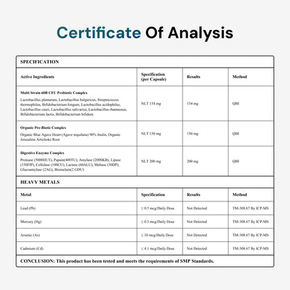 ZBIOME Probiotic + Prebiotic + Digestive Enzymes - Trending Wellness Store