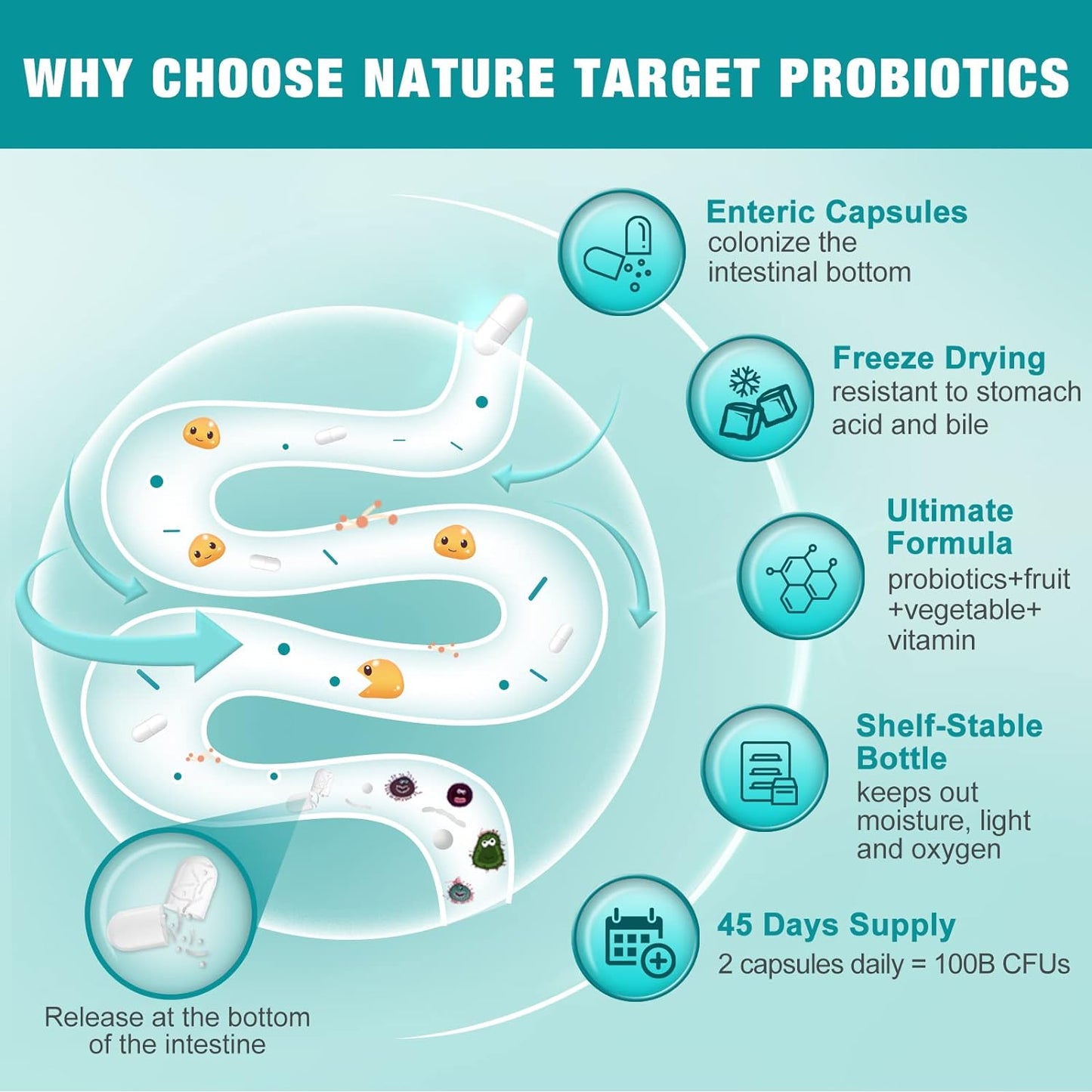 3-in-1 Digestive Health Probiotics, 100 Billion CFUs, 200mg - Trending Wellness Store