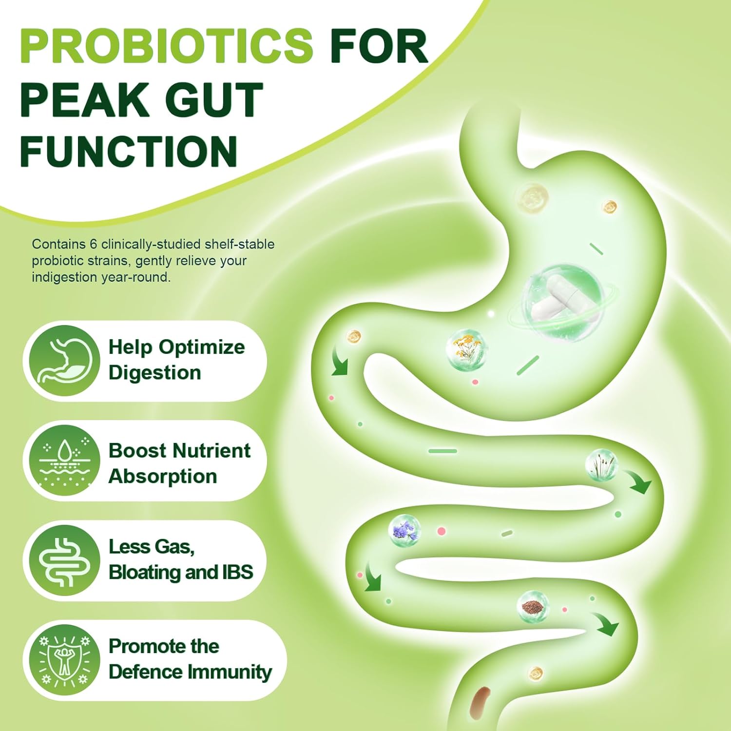 Probiotics with Prebiotic Fiber, 60 Billion CFUs, 120 Capsules - Trending Wellness Store