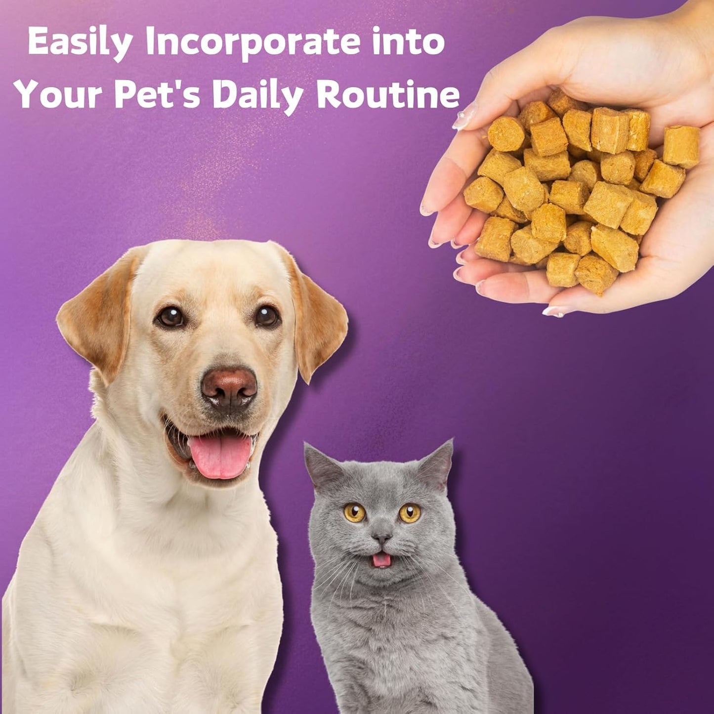 Probiotics for Dogs & Cats, 6 Billion CFUs - Trending Wellness Store