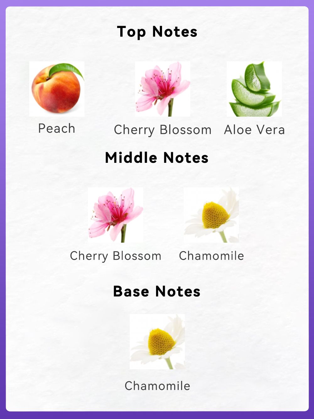 Trending Wellness Store