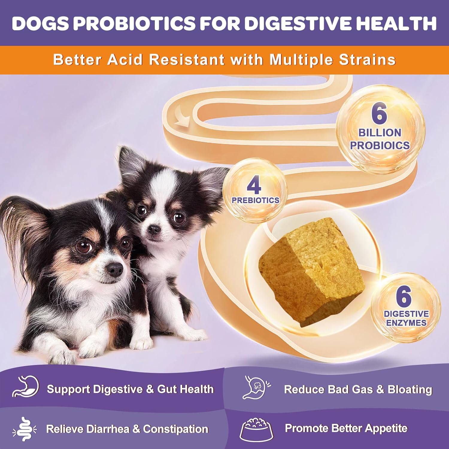 Probiotics for Dogs & Cats, 6 Billion CFUs - Trending Wellness Store
