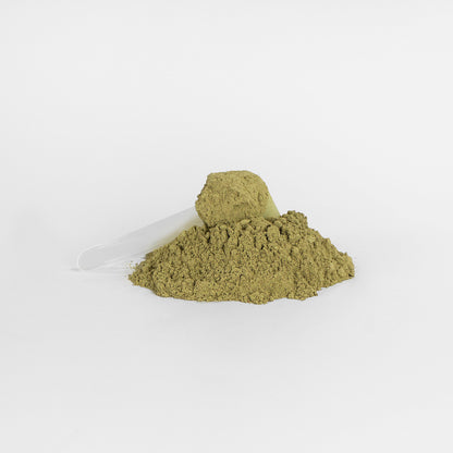 Green Superfood Powder Nutrient Rich Blend For Energy, Digestion Overall Wellness - Trending Wellness Store