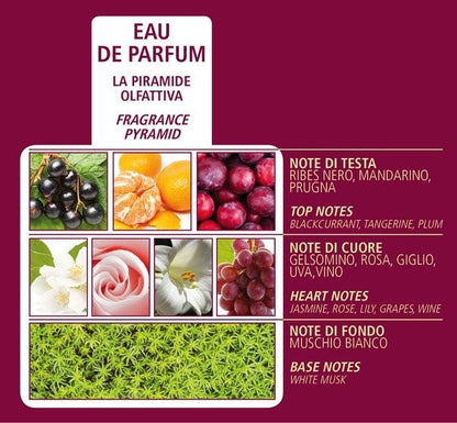 ACQUA DI BOLGHERI Bacche di Vinum Eau de Parfum 50 ml - Trending Wellness Store