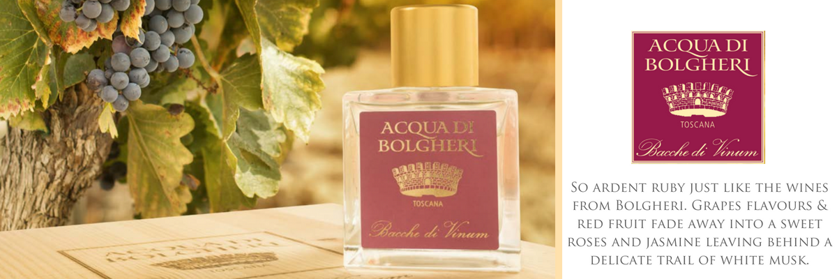 ACQUA DI BOLGHERI Bacche di Vinum Eau de Parfum 50 ml - Trending Wellness Store