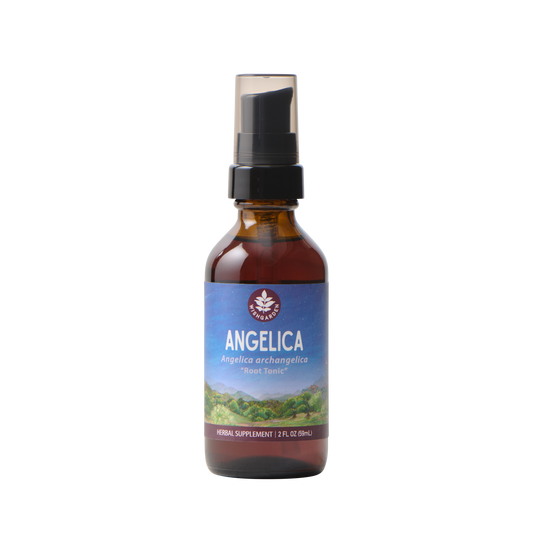 Angelica - Trending Wellness Store