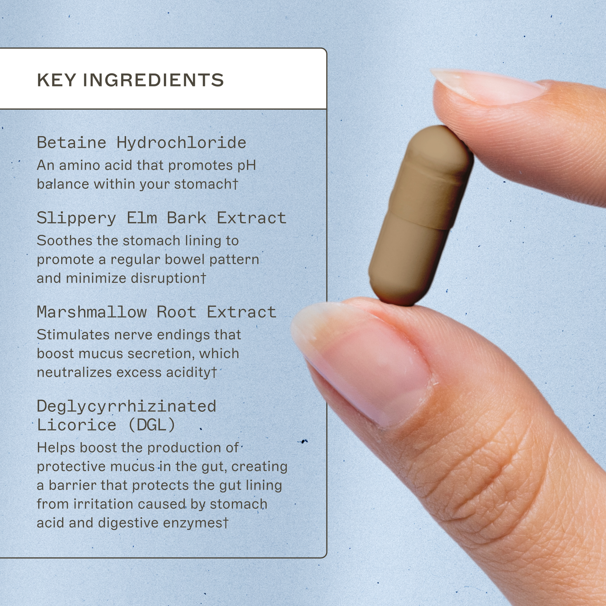 Trending Wellness Store