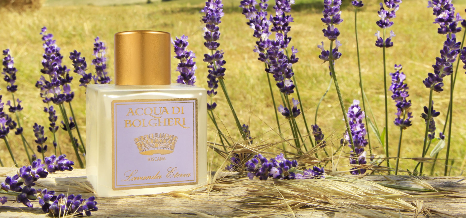ACQUA DI BOLGHERI Lavanda Eterea Eau de Cologne 100 ml - Trending Wellness Store