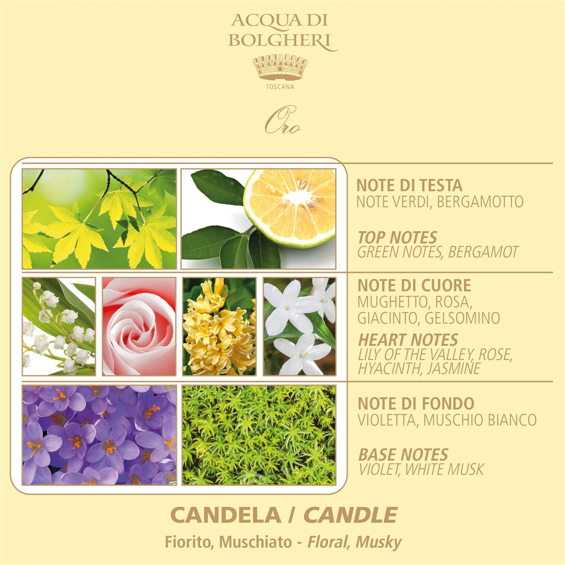 ACQUA DI BOLGHERI Oro Soy Wax Perfumed Candle - Trending Wellness Store