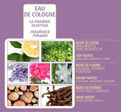 ACQUA DI BOLGHERI Lavanda Eterea Eau de Cologne 100 ml - Trending Wellness Store