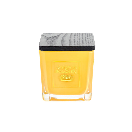 ACQUA DI BOLGHERI Oro Soy Wax Perfumed Candle - Trending Wellness Store
