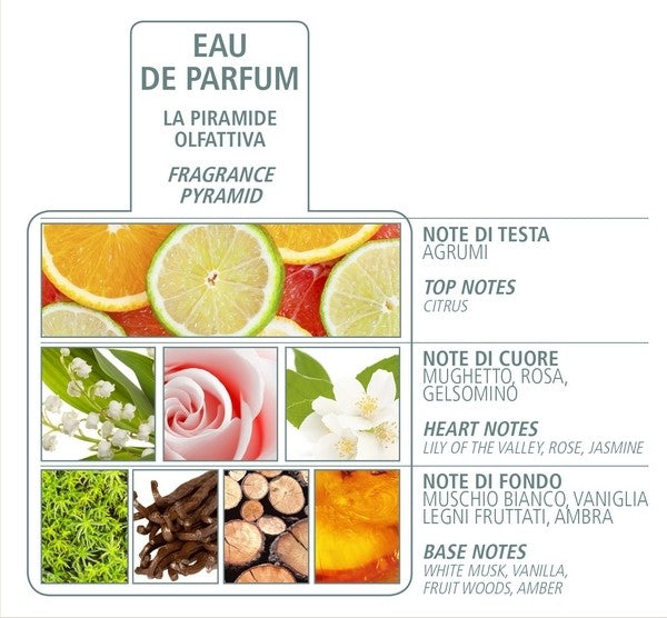 ACQUA DI BOLGHERI White Musk Eau de Parfum 50 ml - Trending Wellness Store