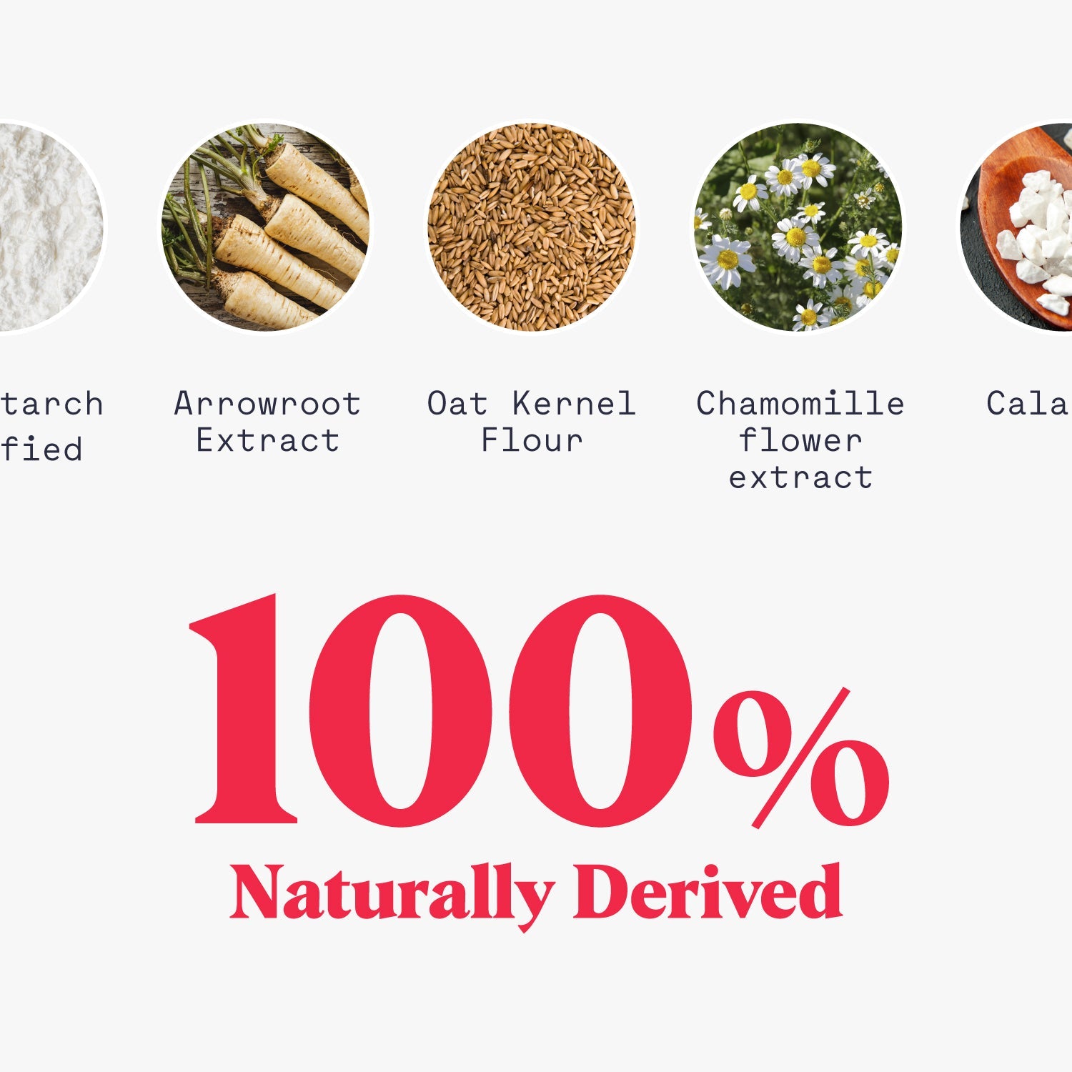 Body Powder - Trending Wellness Store