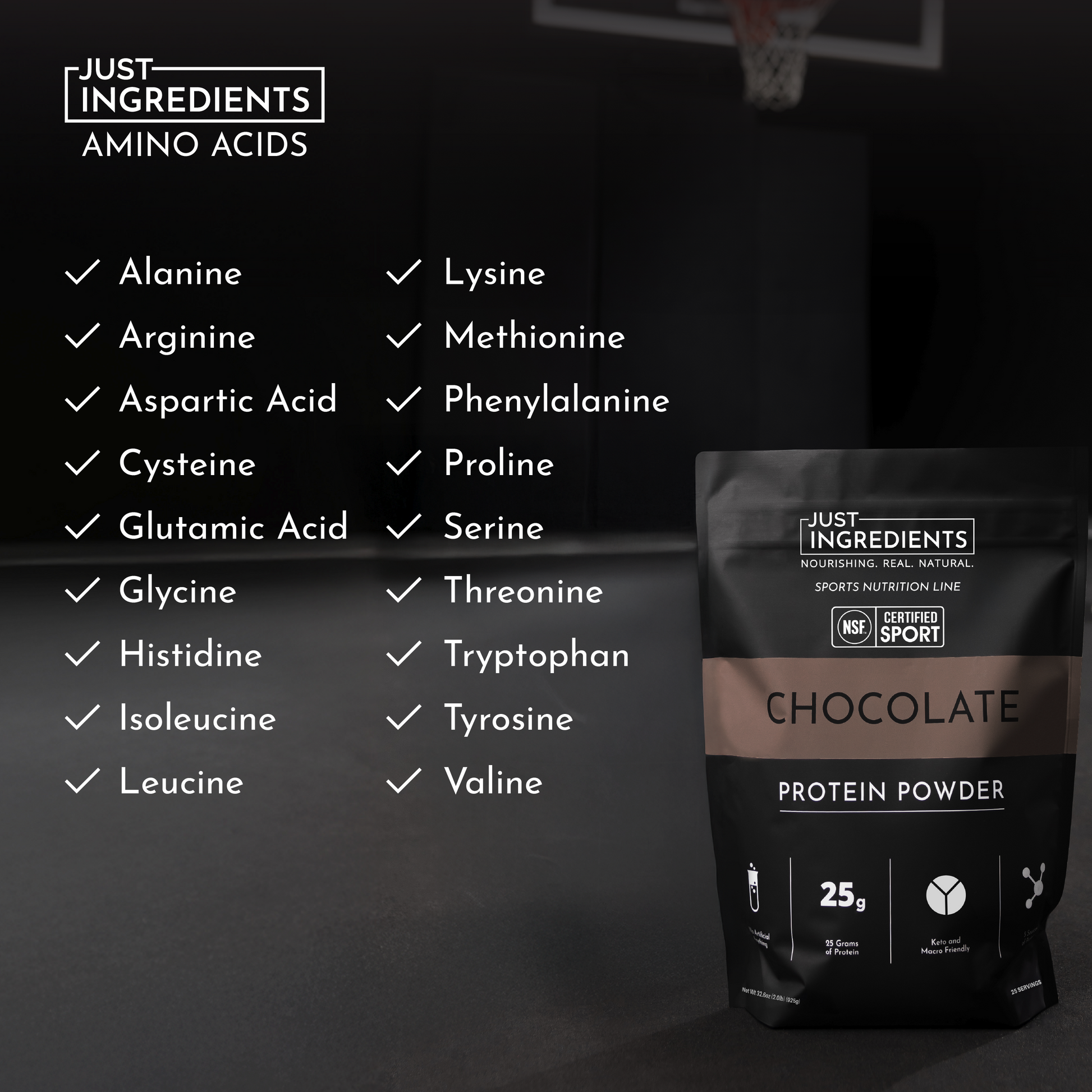 Chocolate Protein Powder - NSF - Trending Wellness Store