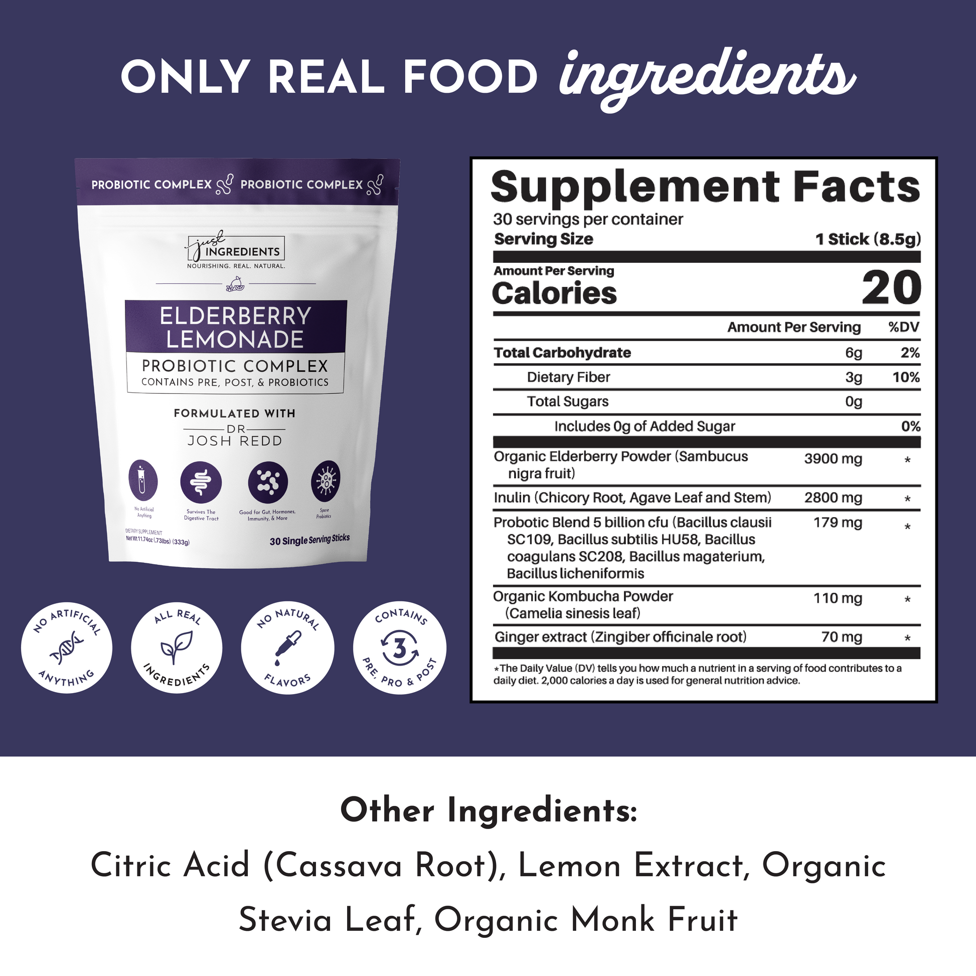 Elderberry Lemonade 3-In-1 Probiotic Complex - Trending Wellness Store