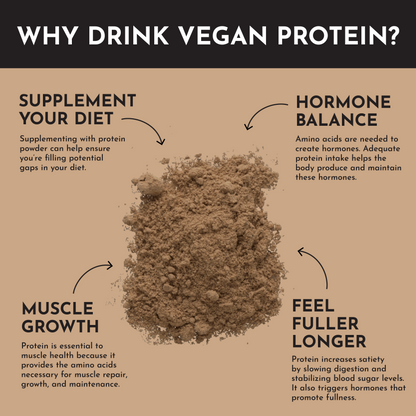Vegan Peanut Butter Chocolate Protein Powder - Trending Wellness Store