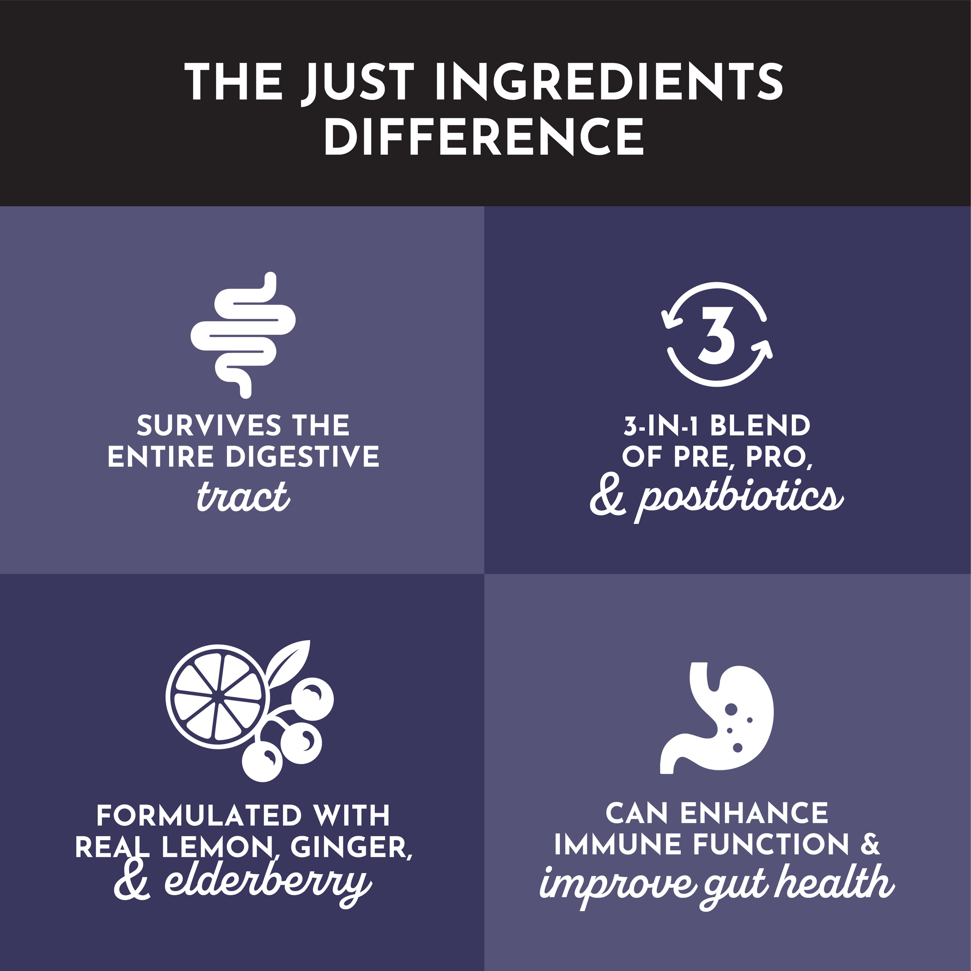 Elderberry Lemonade 3-In-1 Probiotic Complex - Trending Wellness Store