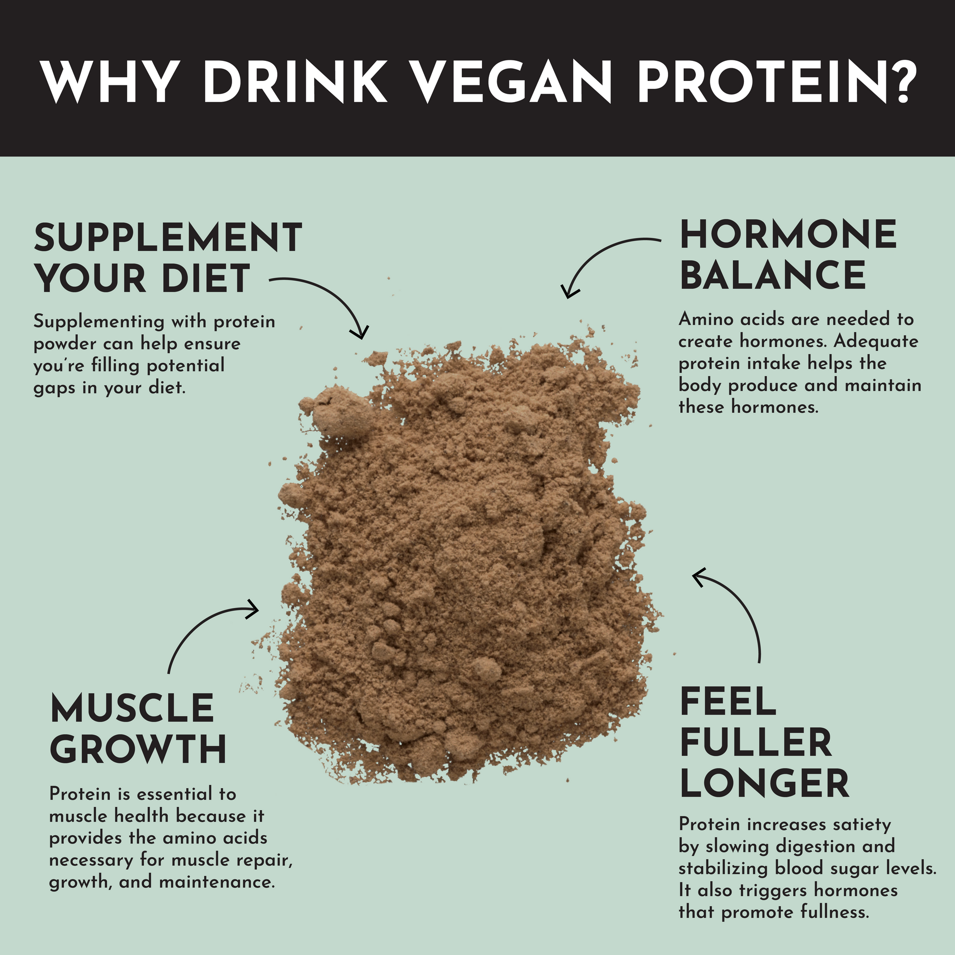 Vegan Mint Chocolate Protein Powder - Trending Wellness Store