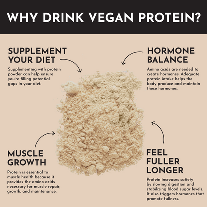 Vegan Snickerdoodle Protein Powder - Trending Wellness Store