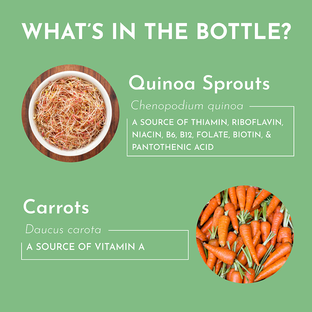 Multivitamin Supplement - Trending Wellness Store