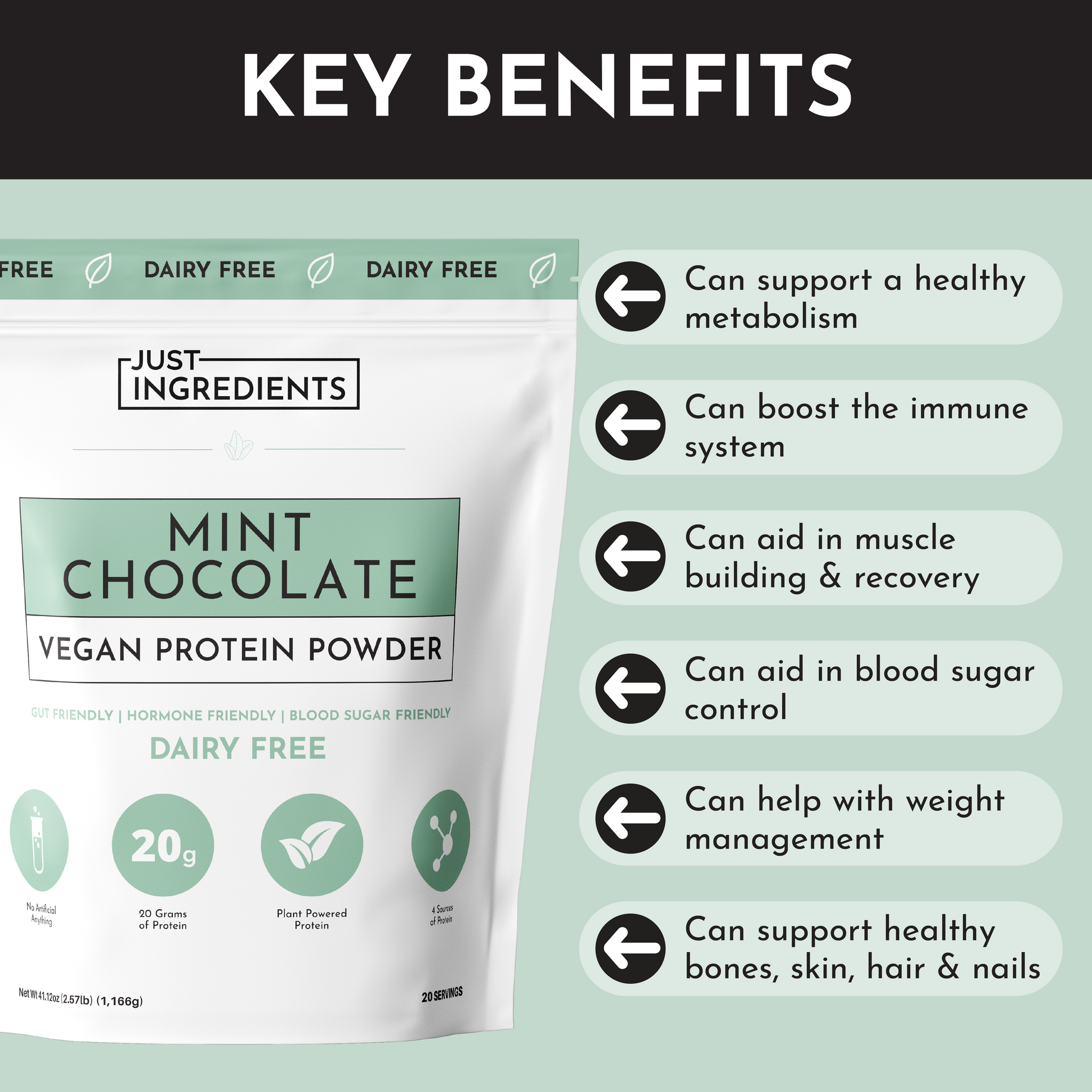 Vegan Mint Chocolate Protein Powder - Trending Wellness Store