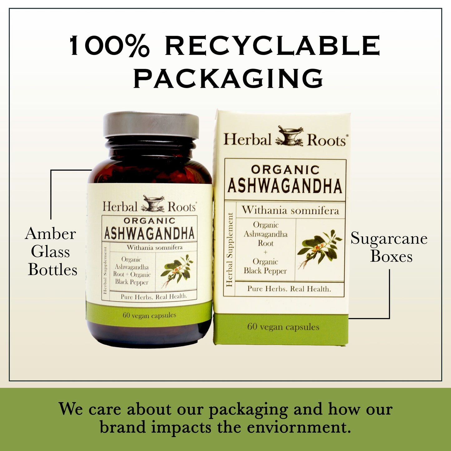 Organic Ashwagandha - Trending Wellness Store