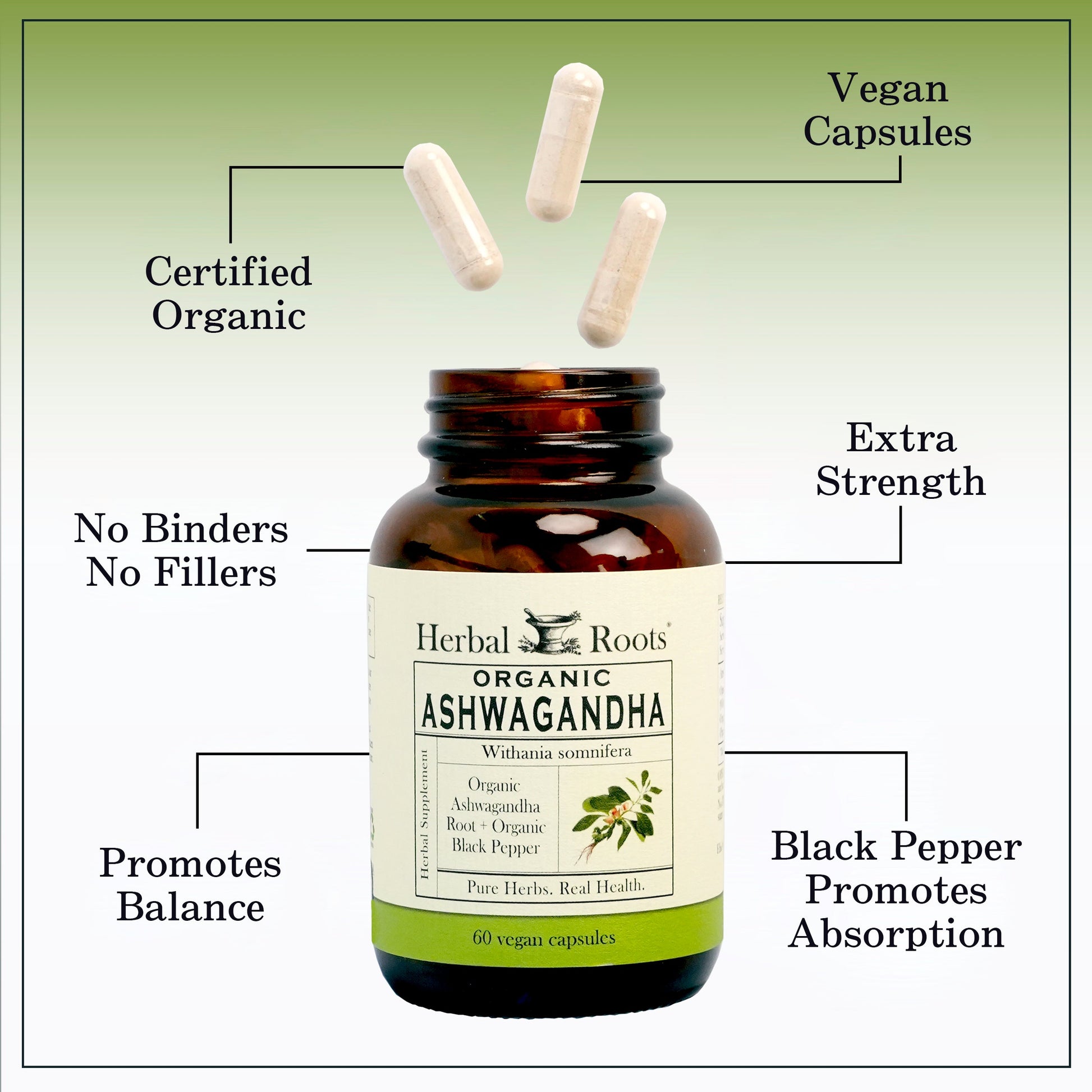 Organic Ashwagandha - Trending Wellness Store