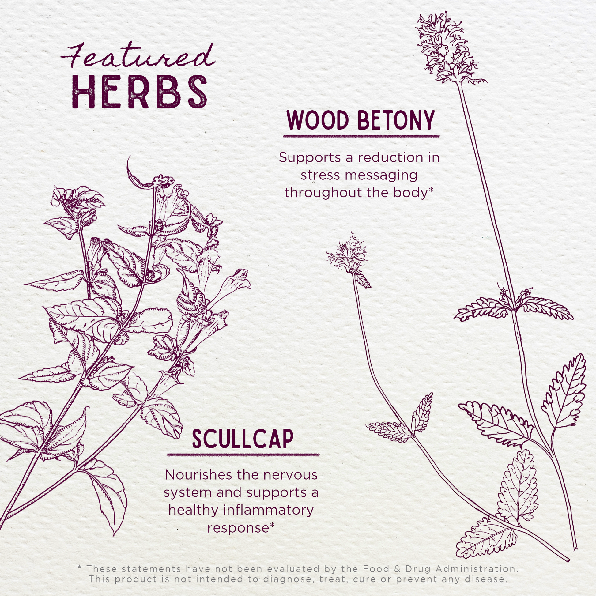 Serious Relaxer & Muscle Tension - Trending Wellness Store