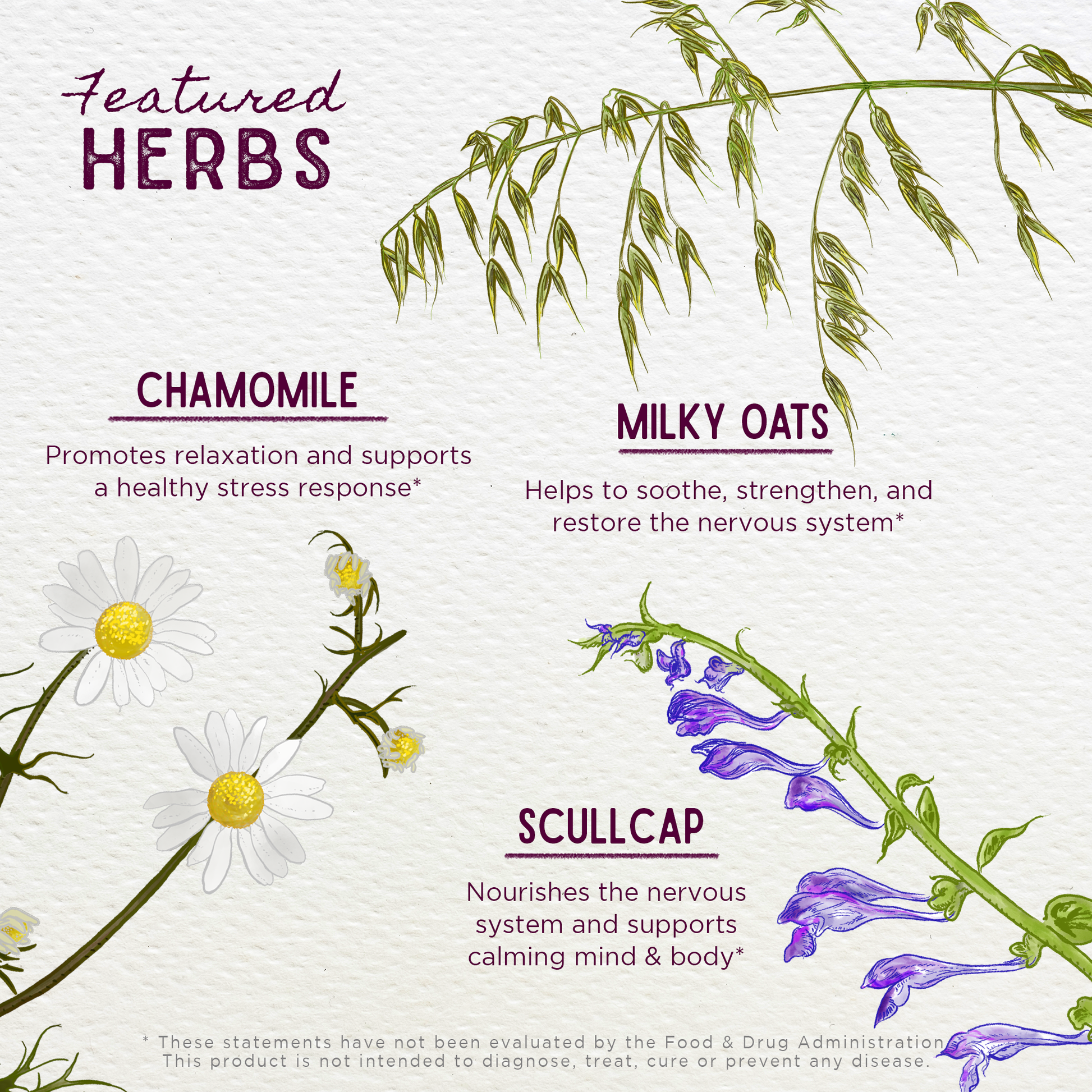 Sleepy Nights & Fresh Mornings for Pregnancy - Trending Wellness Store