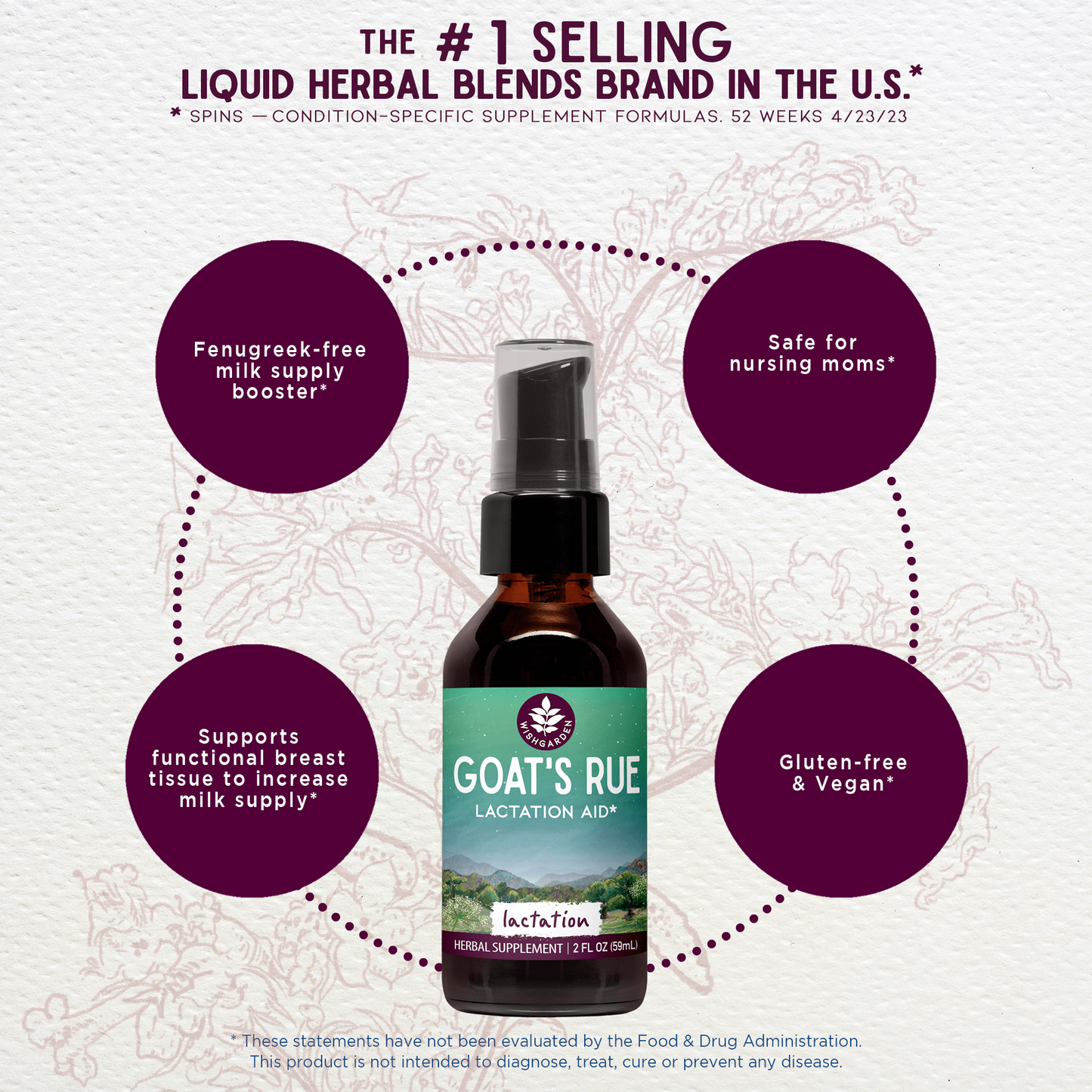 Goat's Rue Lactation Aid - Trending Wellness Store