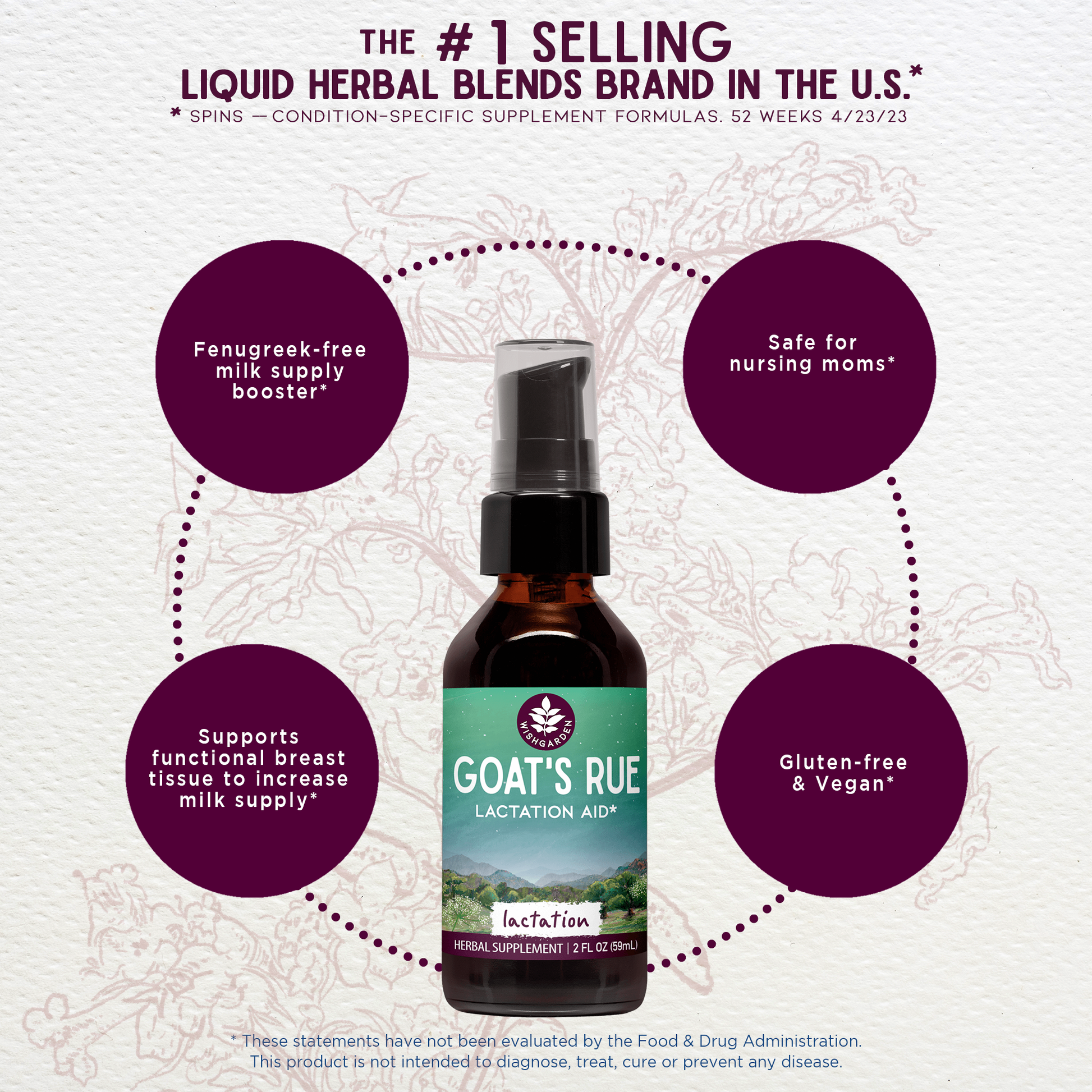 Goat's Rue Lactation Aid - Trending Wellness Store