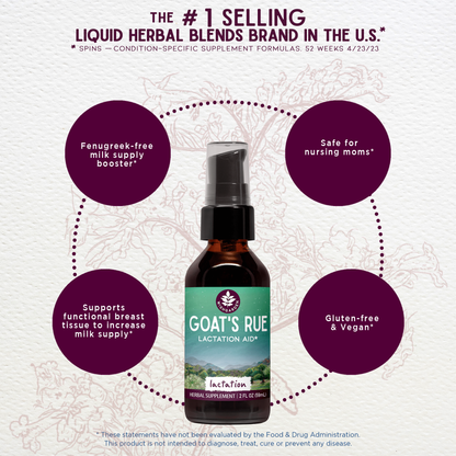 Goat's Rue Lactation Aid - Trending Wellness Store