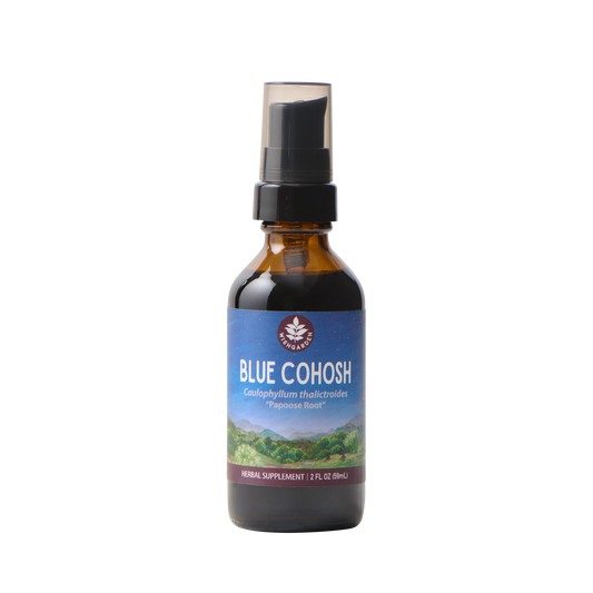 Blue Cohosh - Trending Wellness Store