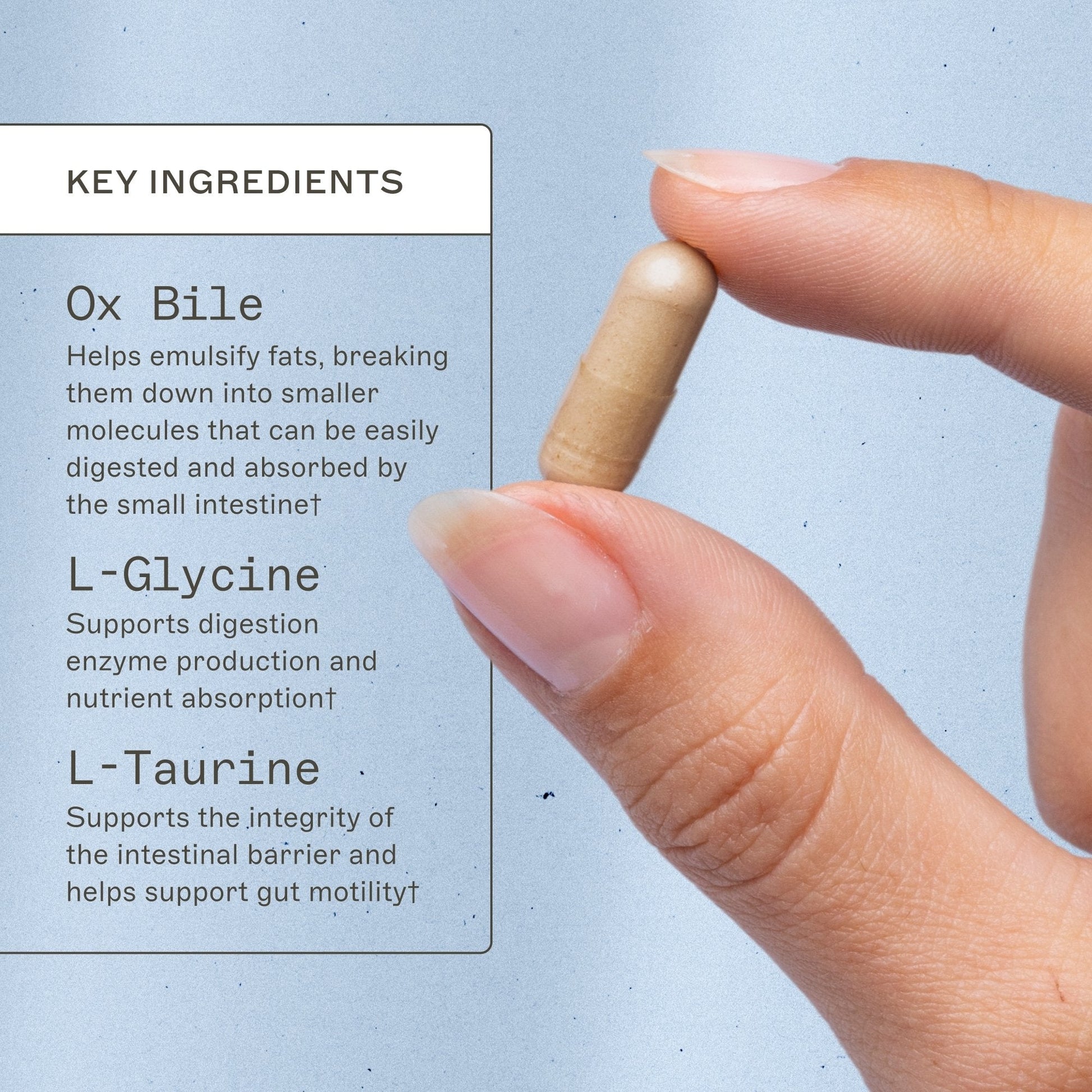 Trending Wellness Store