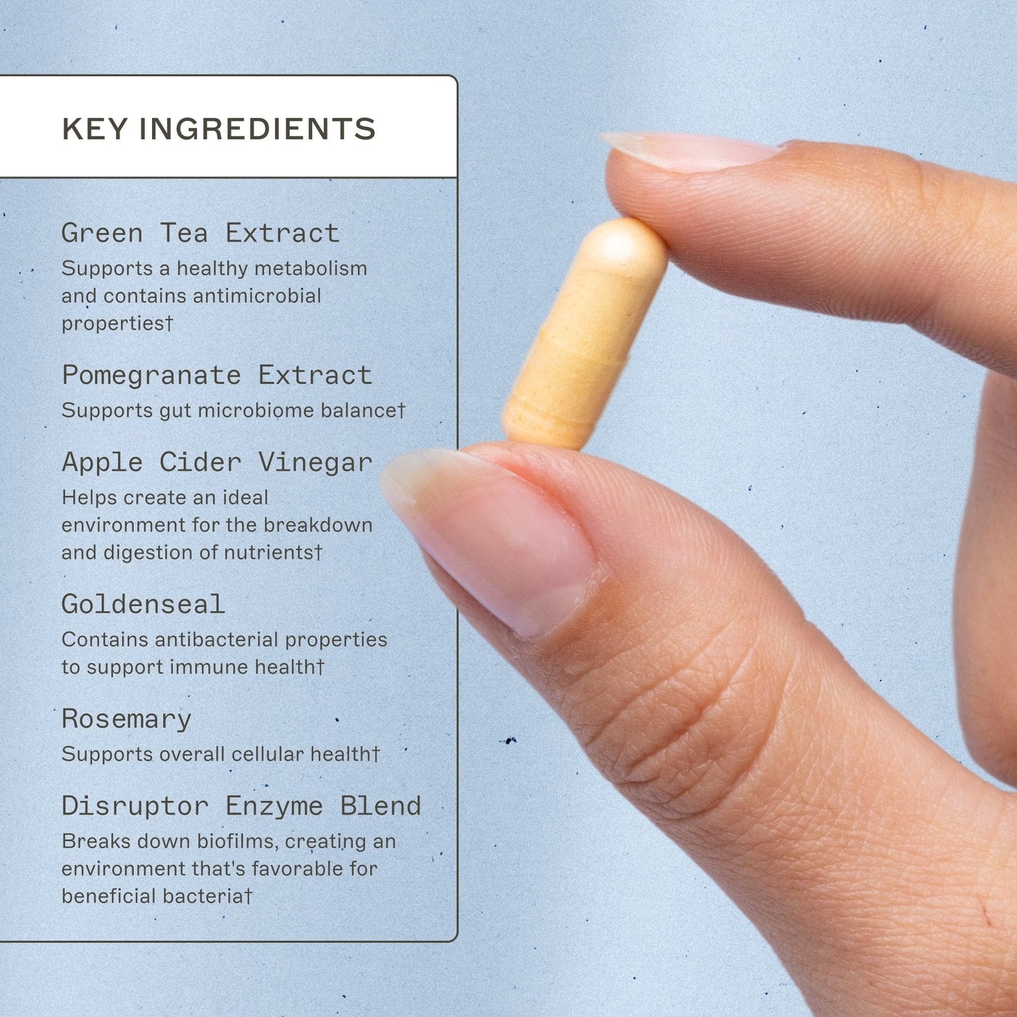 Biofilm Disruptor - Trending Wellness Store