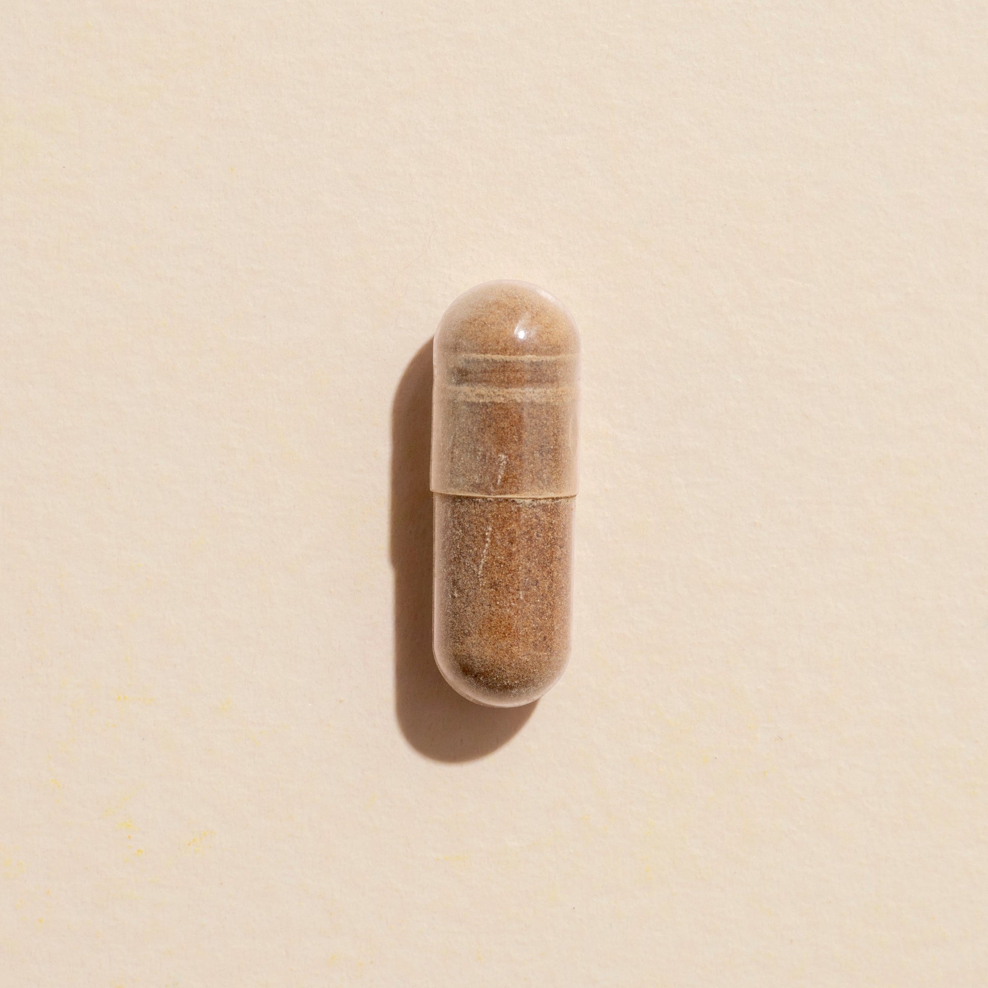 Brain Boost Herbal Supplement - 120 Capsules - Trending Wellness Store