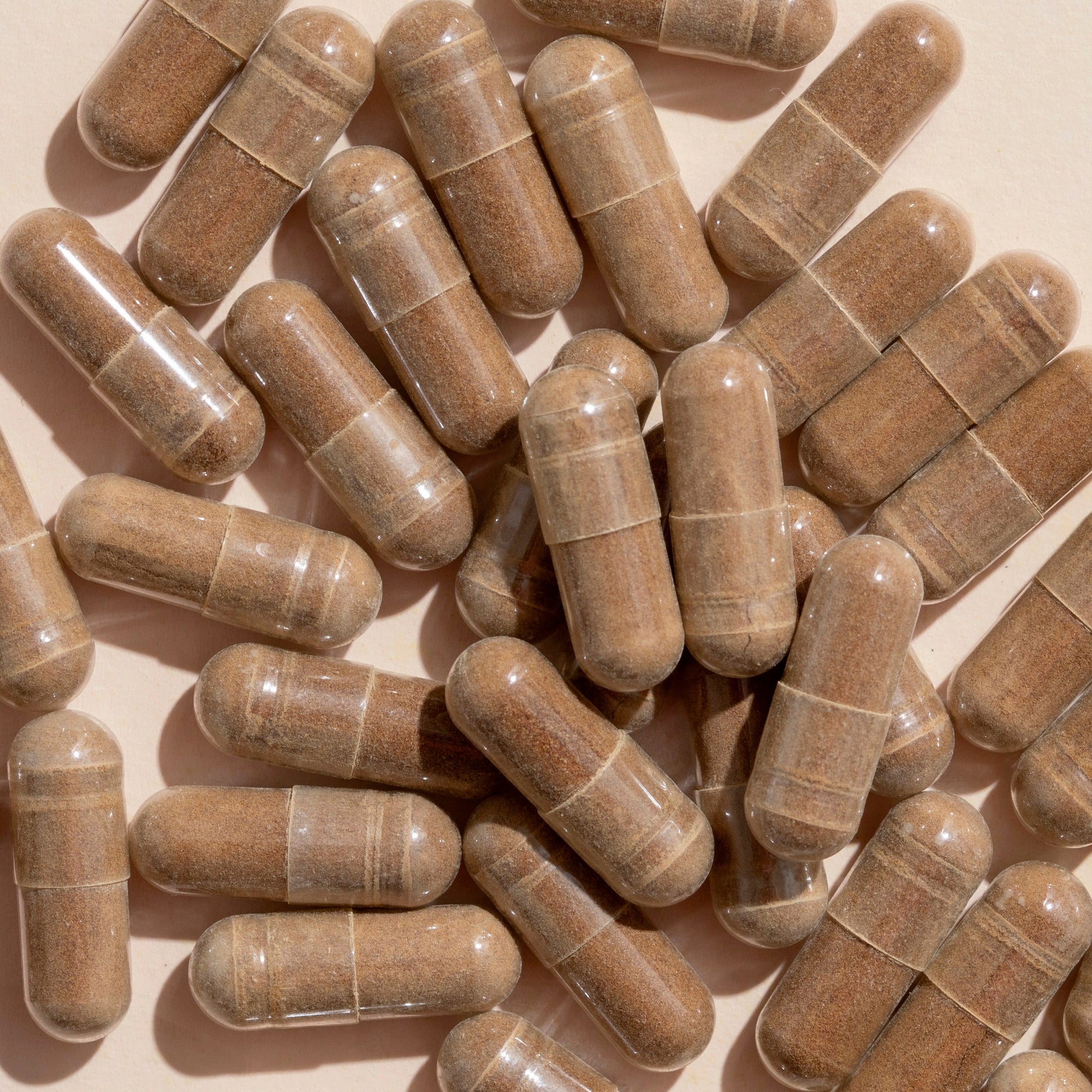 Brain Boost Herbal Supplement - 120 Capsules - Trending Wellness Store