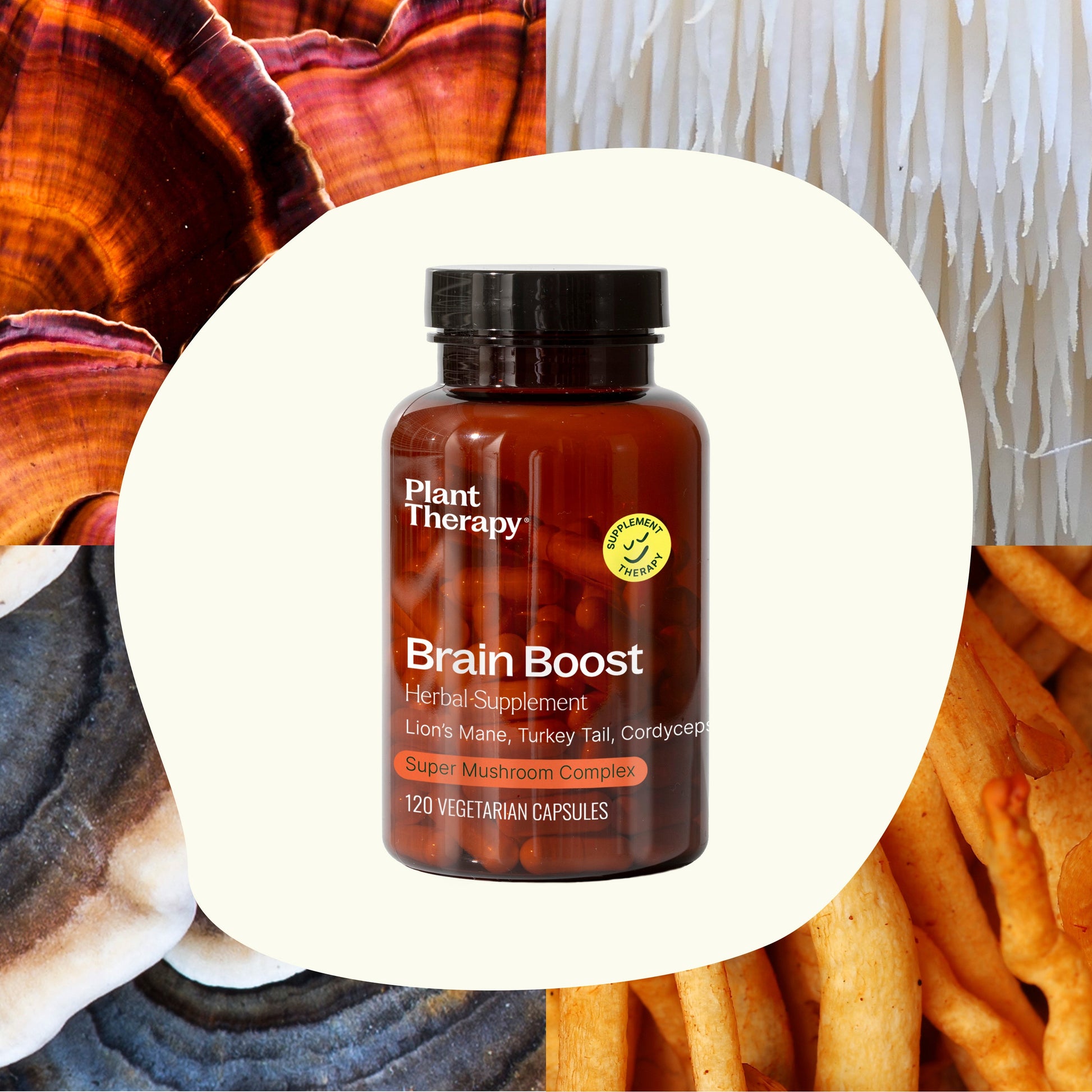 Brain Boost Herbal Supplement - 120 Capsules - Trending Wellness Store