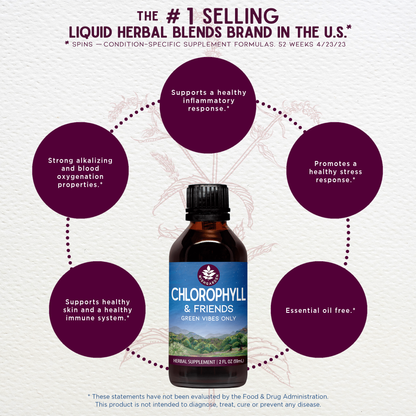 Chlorophyll & Friends - Trending Wellness Store