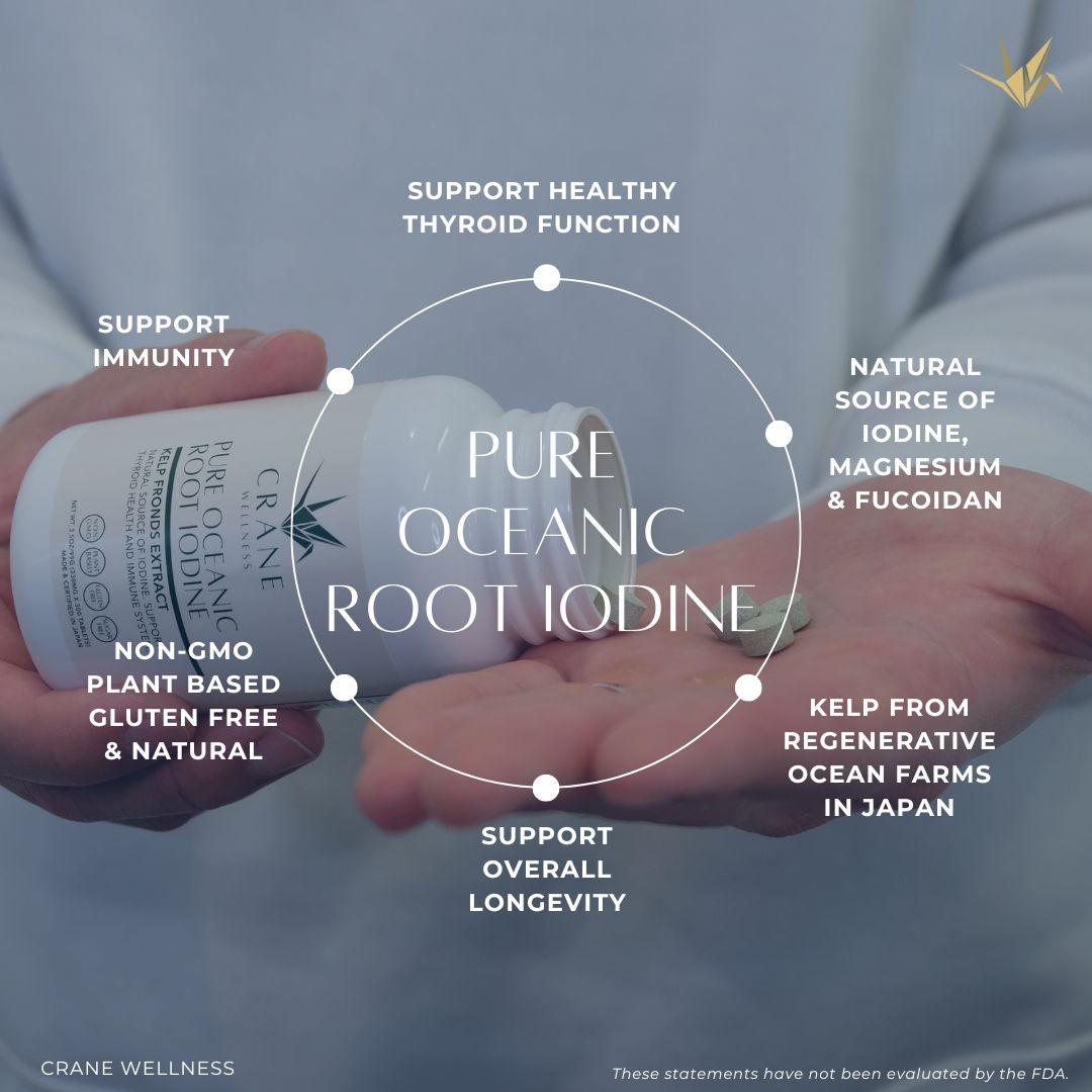 Pure Oceanic Root Iodine Kelp Root Tablets - Trending Wellness Store