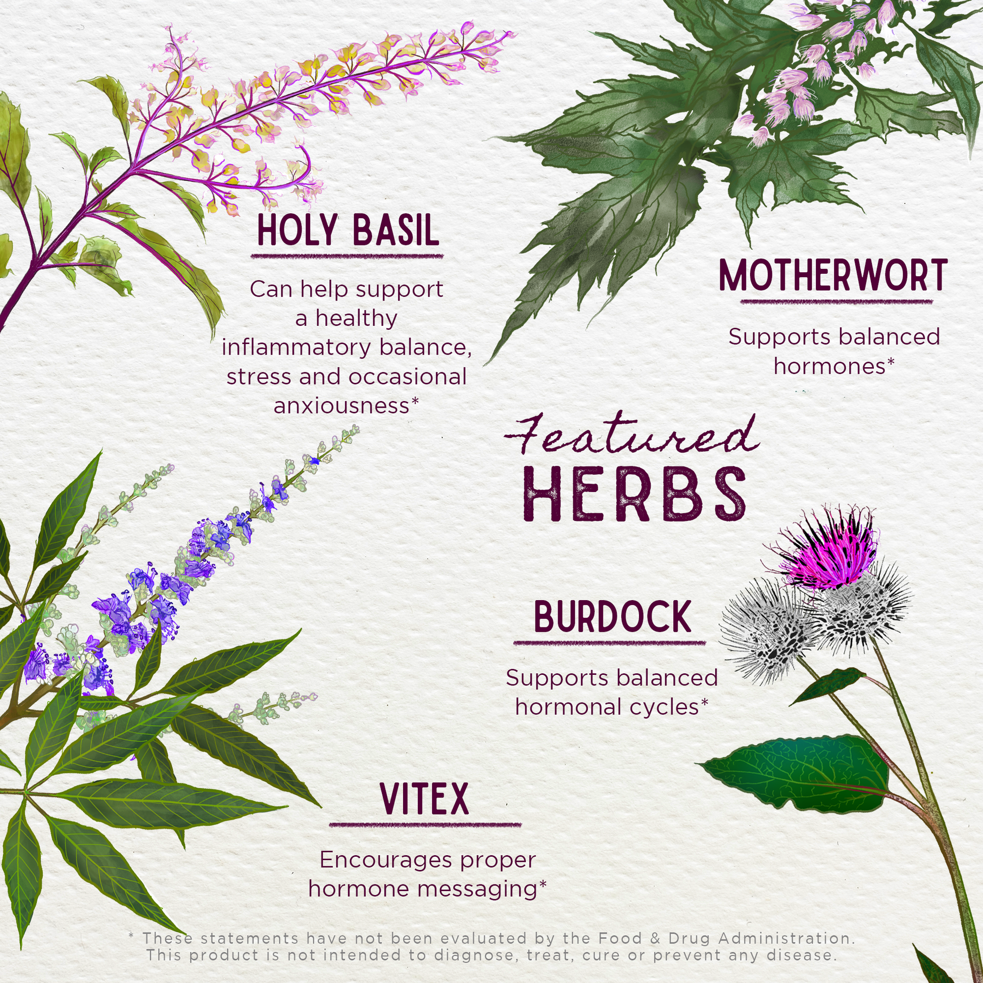 Cycle Vitality 1 Follicular Phase - Estrogen Support - Trending Wellness Store