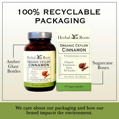 Organic Ceylon Cinnamon - Trending Wellness Store
