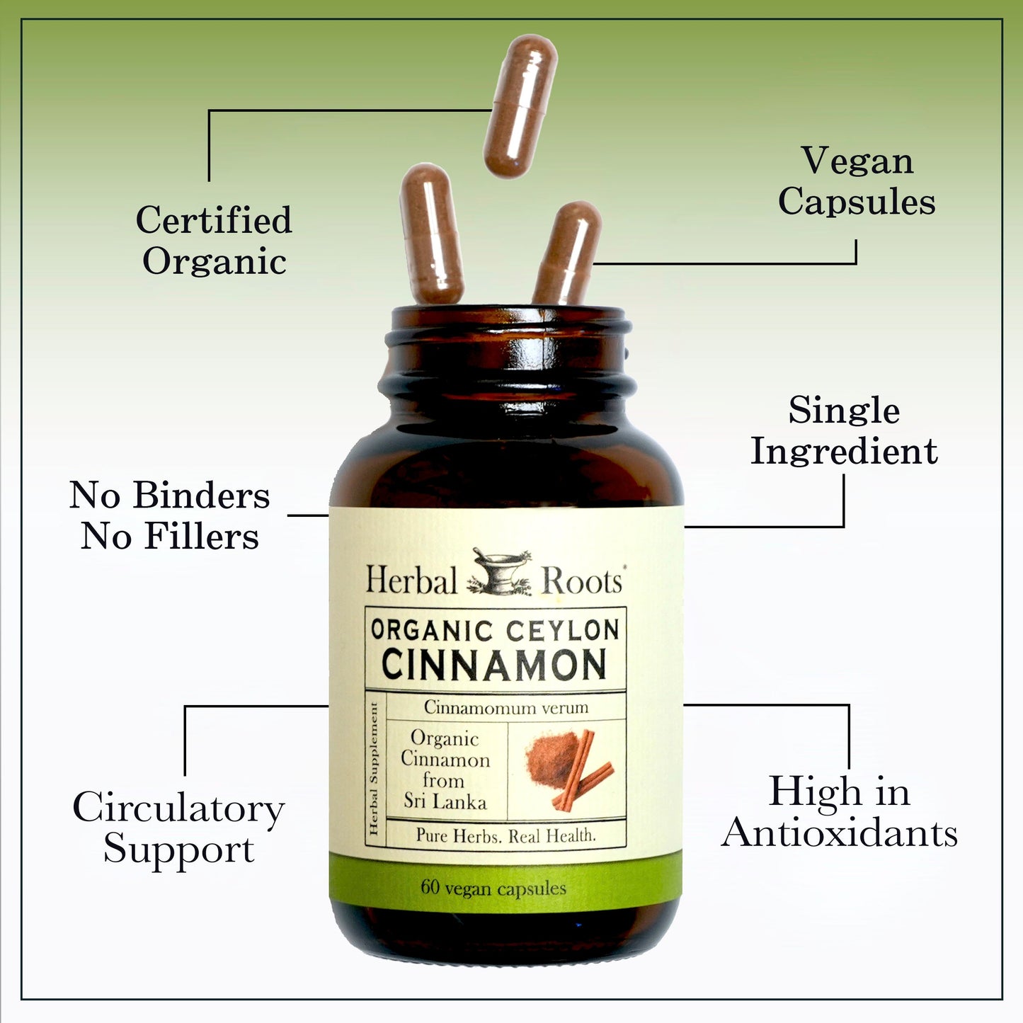 Organic Ceylon Cinnamon - Trending Wellness Store