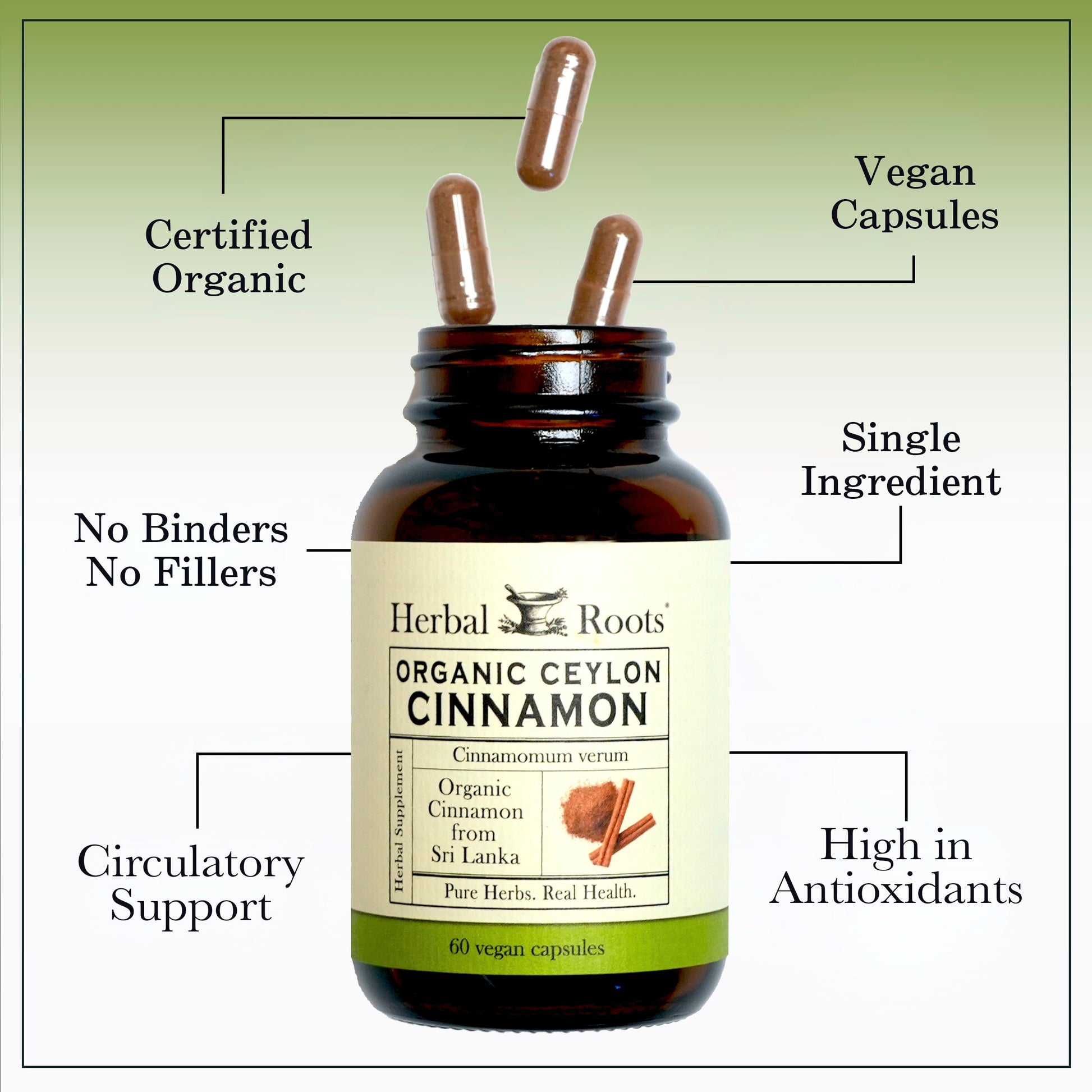 Organic Ceylon Cinnamon - Trending Wellness Store