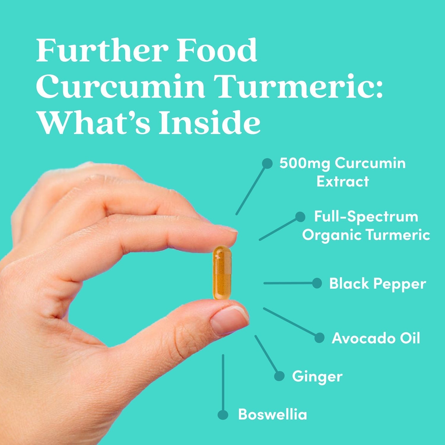 Premium Curcumin Turmeric - Trending Wellness Store